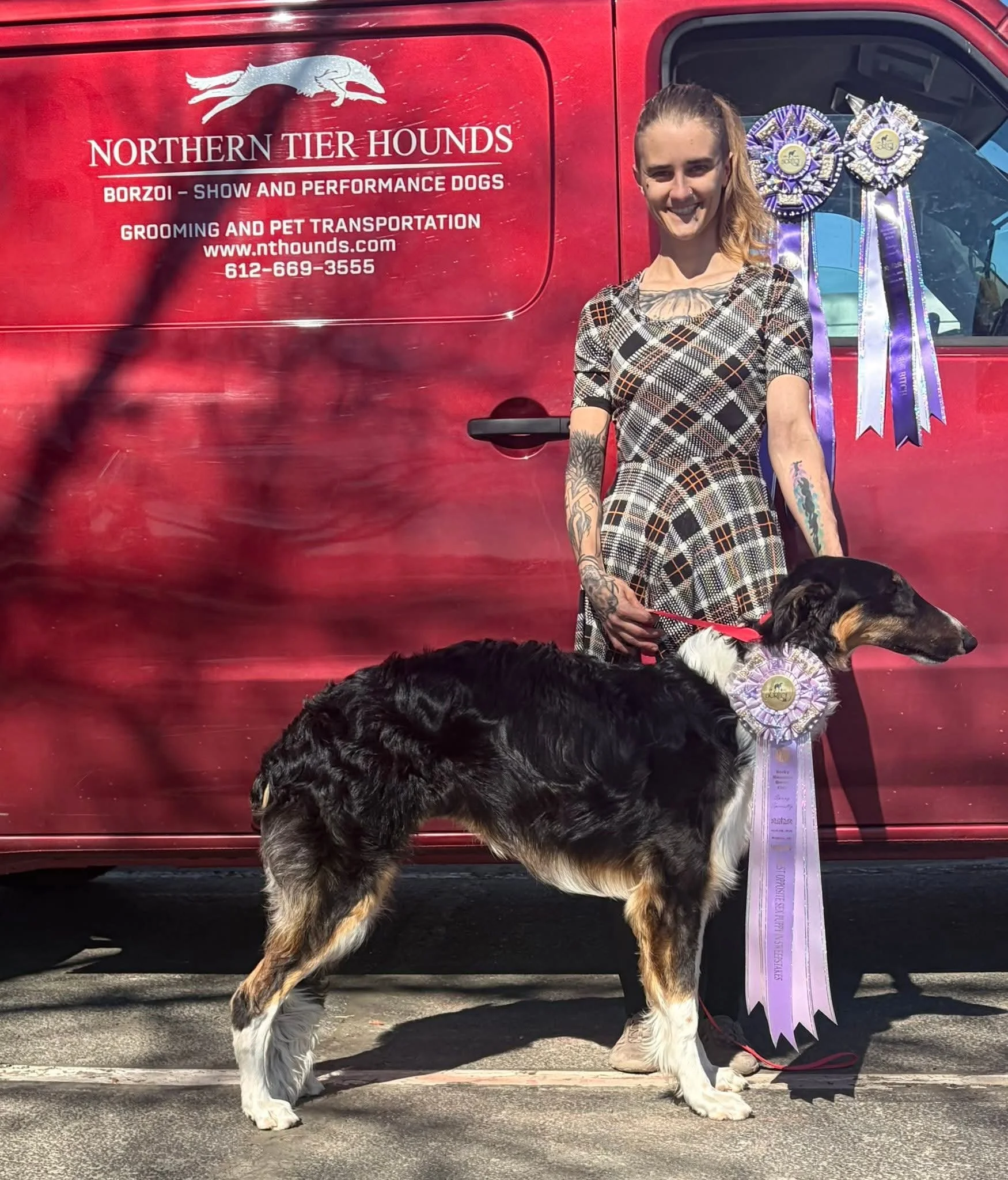 Our Dogs — Northern Tier Hounds